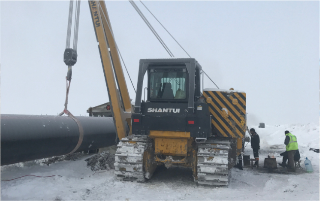 ��ҳ- Z6�����й����������ǲ�